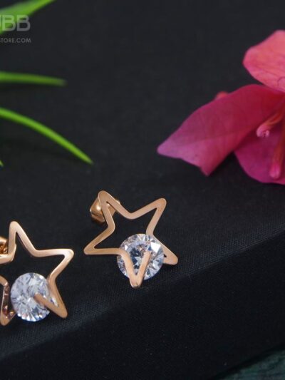 Rose Gold Plated Star Shaped Earring- WAA1021