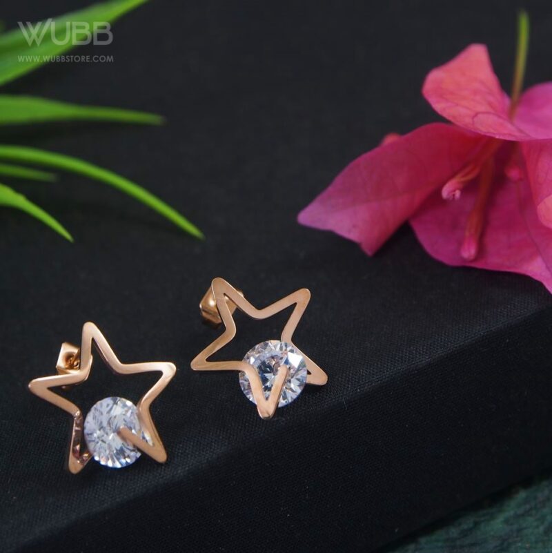 Rose Gold Plated Star Shaped Earring- WAA1021